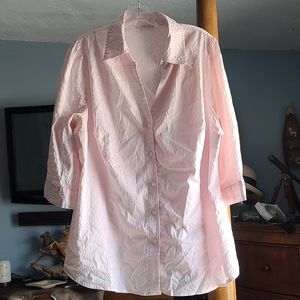 Lovely Plus Size Pink Blouse